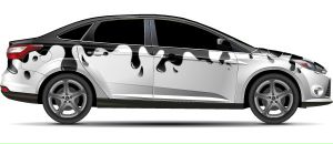 Ярослав Патріот фотография #36 (источник - https://vk.com/id137421151)