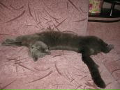 Фотография Насекиной Аленчик