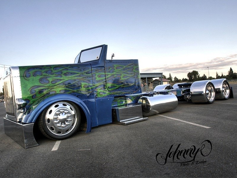 Dumb Monkey фотография #31