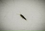 Игорь Левкин фотография #42 (источник - https://vk.com/id5219671)