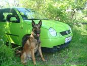 Фотография Собакиной Вари