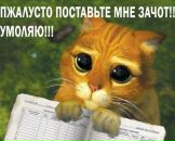 Юрій Шевчук фотография #29 (источник - https://vk.com/id9770746)