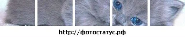 Лера Лоц фотография #8 (источник - https://vk.com/id57504657)