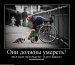  фотография #28