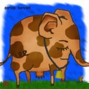 Фотография Бо Ника