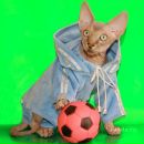 Фотография Прасолова Евгения