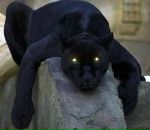 Віталій Папіж фотография #15 (источник - https://vk.com/id25237547)