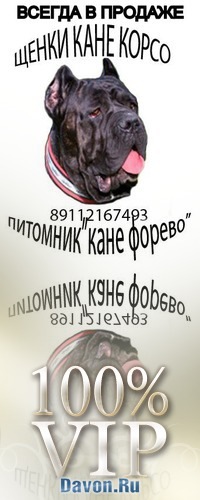 №5, Ирина, Санкт-Петербург №5, Ирина, Санкт-Петербург
