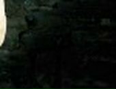 Дмитрий Сидоренко фотография #41 (источник - https://vk.com/id102488413)