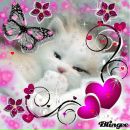 Алла Горячева фотография #21 (источник - https://vk.com/id70179627)