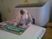 Фотография Дмитриевой Елены