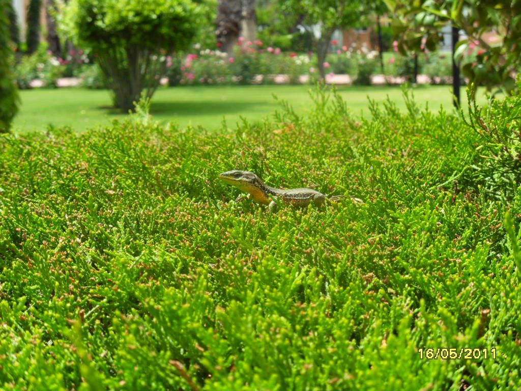 Елена Куделя фотография #20