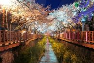 Яна Ли фотография #13 (источник - https://vk.com/id256199)