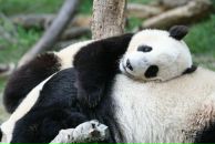 Julia K. фотография #28 (источник - https://vk.com/id425583)