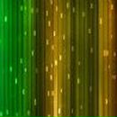 Діанка Тетерин фотография #14 (источник - https://vk.com/id141908007)