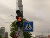 Фотография Судник Надежда