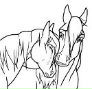 Вениамин Саенко фотография #11 (источник - https://vk.com/id9408674)