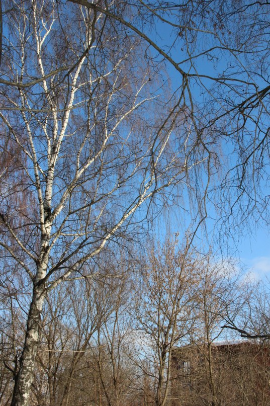 Татьяна Сергеева фотография #30