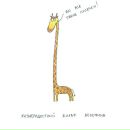 Маргарита Олійник фотография #19 (источник - https://vk.com/id42922434)