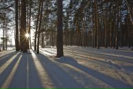 Анна Юрьева фотография #38 (источник - https://vk.com/id992838)