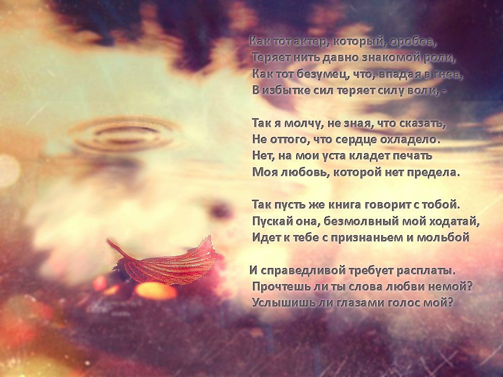 Алекс Рогачёв фотография #34