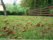 Фотография Макаровой Ольги