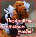 Анютка =)♥♥♥ фотография #20 (источник - https://vk.com/id144792374)