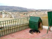 Дмитрий Фёдоров фотография #17 (источник - https://vk.com/id28347)