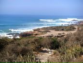 Дмитрий Фёдоров фотография #40 (источник - https://vk.com/id28347)