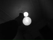 Фотография Синельниковой Анастасии