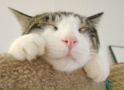 Фотография Брагина Павла