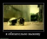 Соломія Царик фотография #34 (источник - https://vk.com/id16160013)