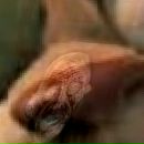 Андрій Беденко фотография #5 (источник - https://vk.com/id136309577)