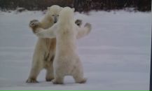 Фотография Домашневой Евгении