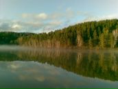 Фотография Спивак Алины