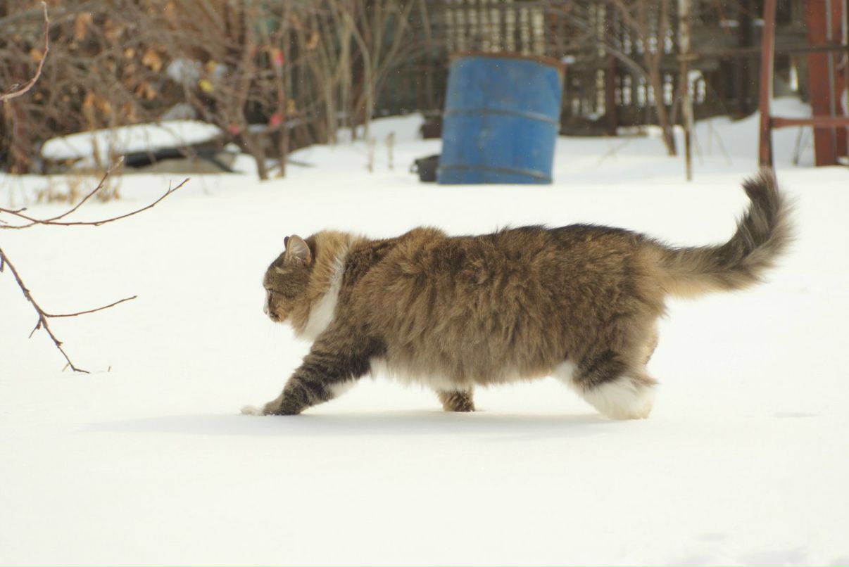 Anton Kasimov фотография #29