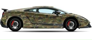 Віталій Процак фотография #45 (источник - https://vk.com/id63779434)