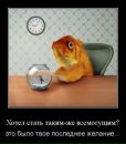 Дмитрий Шанин фотография #49 (источник - https://vk.com/id578933)