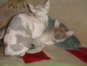 Фотография Журавлевой Олеси