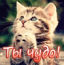 Олексій Сайненко фотография #34 (источник - https://vk.com/id120942362)