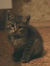 Farhat Lukumov фотография #16 (источник - https://vk.com/id2339604)