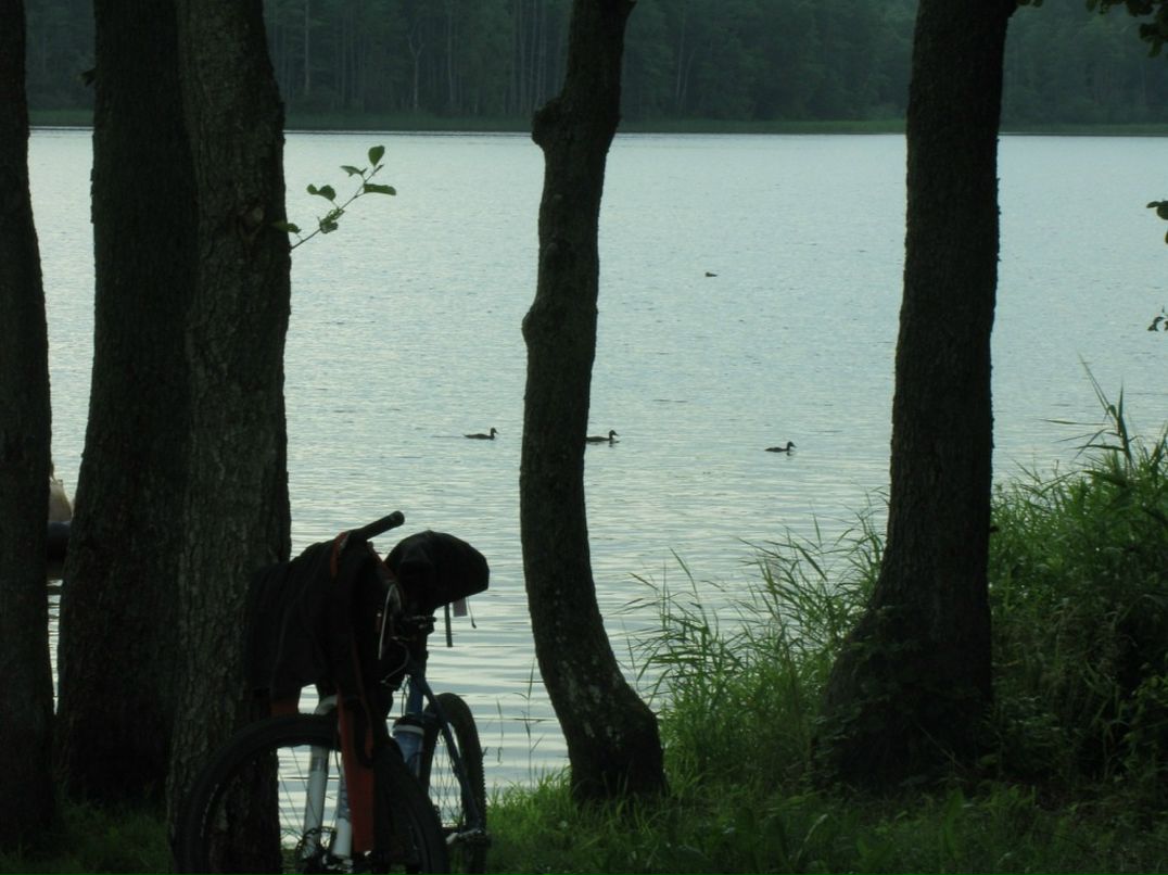 Александр Кадушко фотография #38