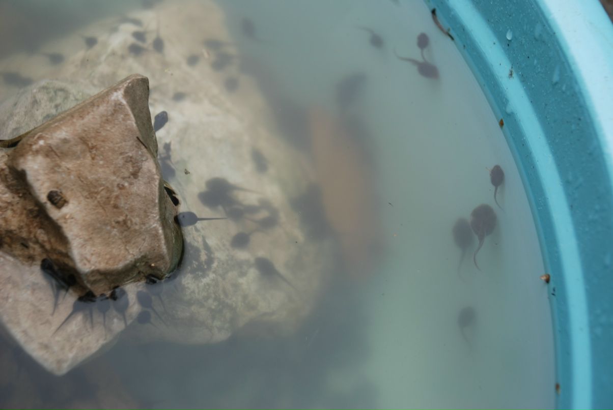 Илья Ткаленко фотография #43