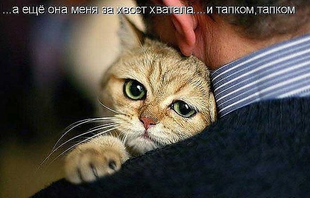 Татьяна Водолажченко фотография #39