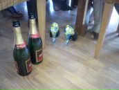 Фотография Назимовой Ани