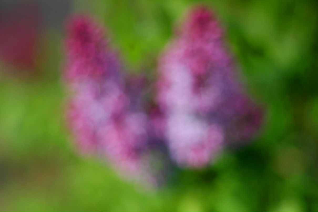 Ольга Моха фотография #29