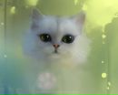 Фотография Роминой Марины