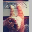 Фотография Погребенного Олега