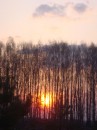 Анелия Ѕфинкѕ фотография #31 (источник - https://vk.com/id1700919)