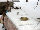 Сергій Крученюк фотография #23 (источник - https://vk.com/id4866622)